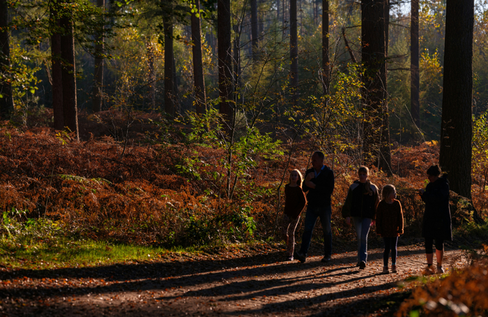Fabrício Severo sur Unsplash
