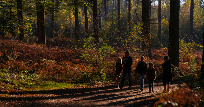 Fabrício Severo sur Unsplash