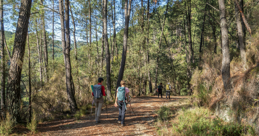 Photo de Snap Wander sur Unsplash (2)